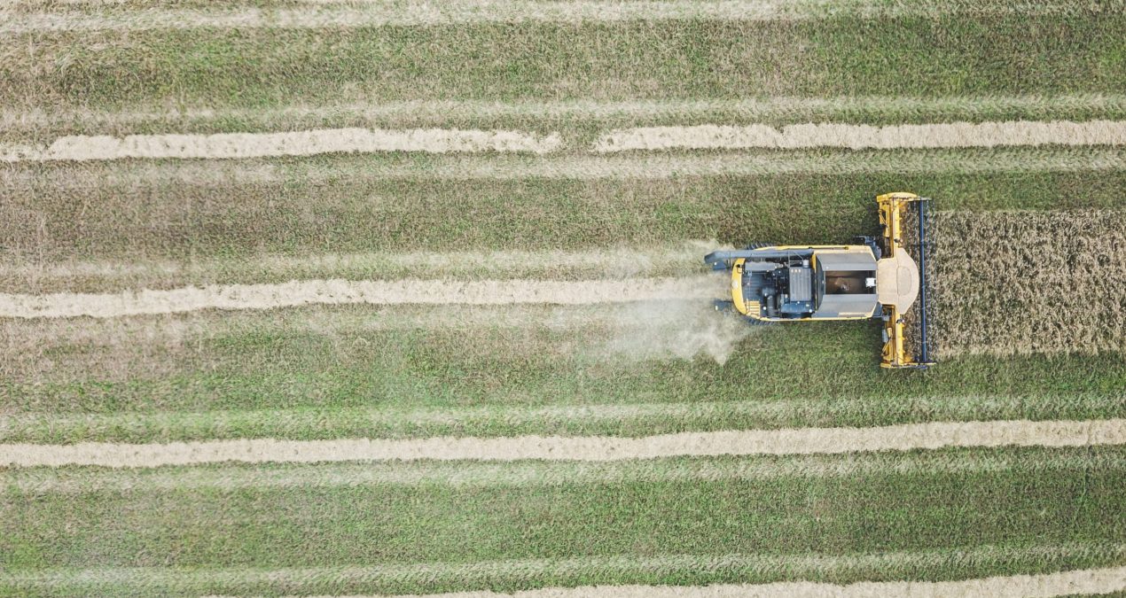 Qu’est-ce que l’agriculture intensive ?