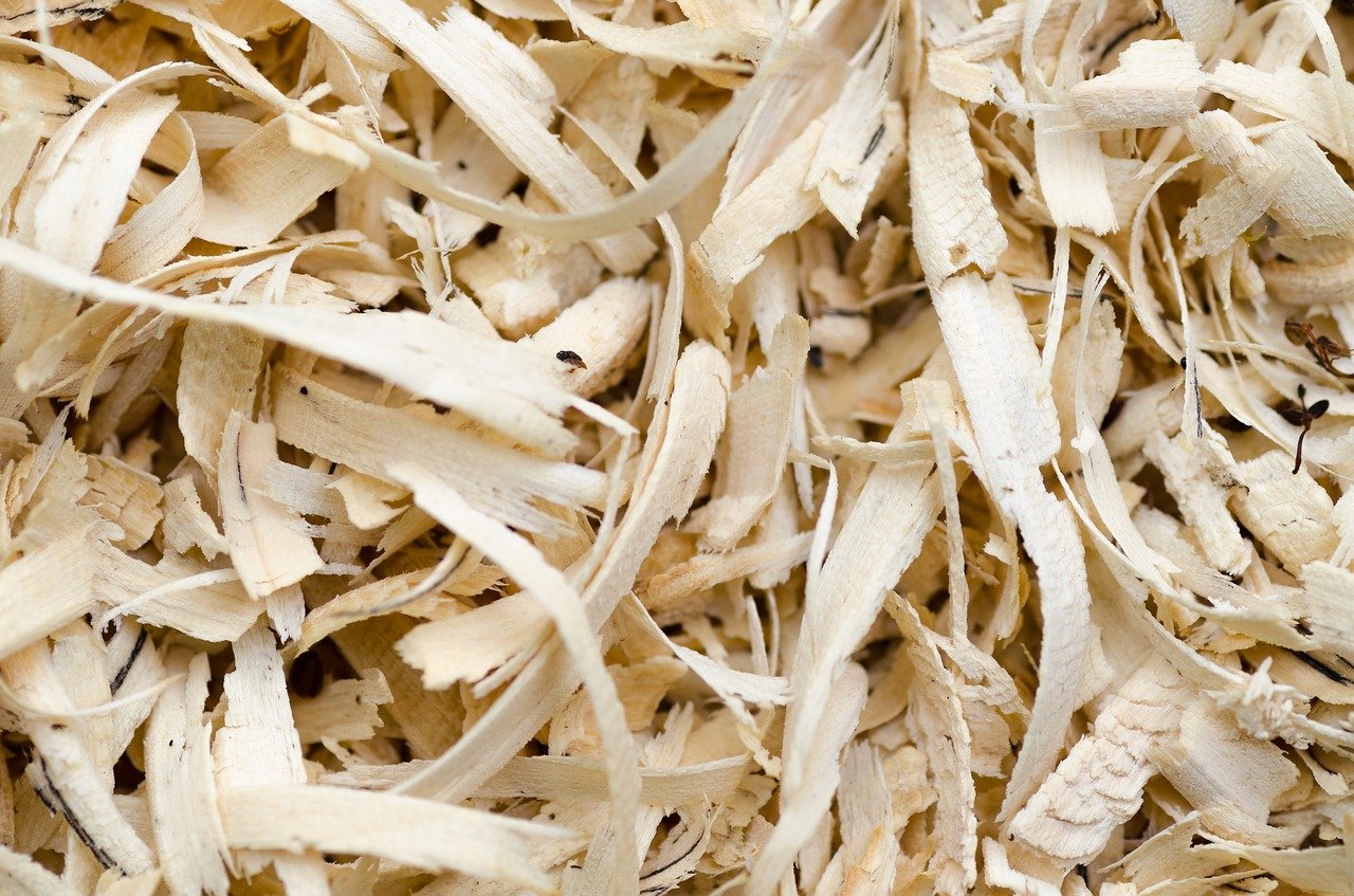 Comment utiliser de la sciure de bois — free download