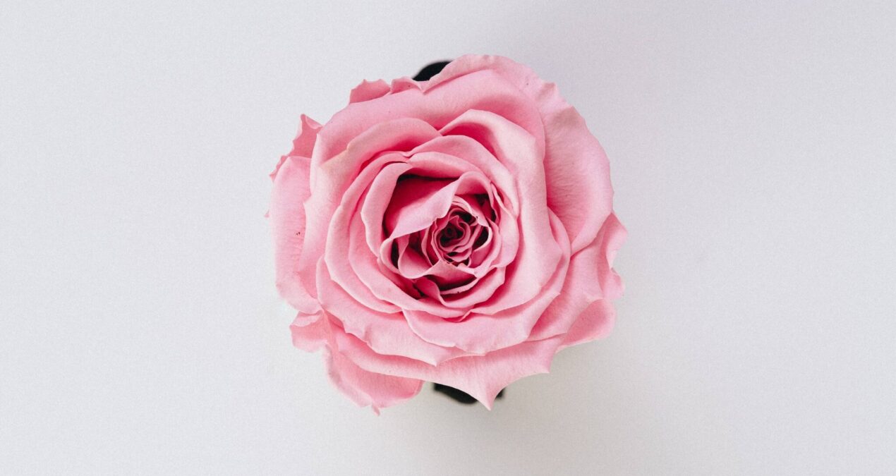 Comment faire de l’eau de rose ?